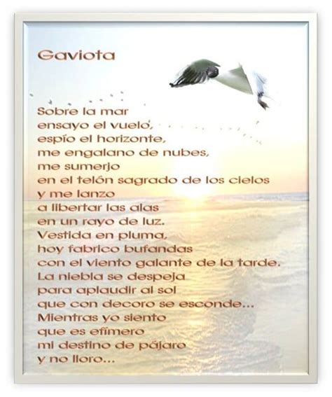 POESÍAS SOBRE LAS GAVIOTAS Visión de una Gaviota