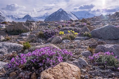 Altai-Tavan-Bogd | Zendmen Travel Mongolia