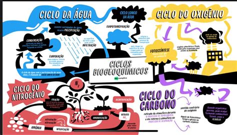 Study Peck Mental Map Study Tips Teaching High Schools Geography