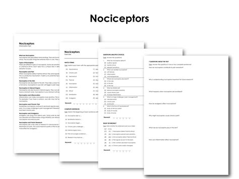 Nociceptors | Made By Teachers