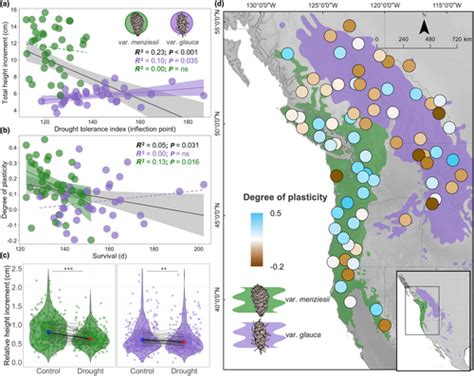 Weak Local Adaptation To Drought In Seedlings Of A Widespread Conifer Candido‐ribeiro New