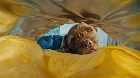 How Do You Eat Your Crisps • Walkers — Splendid Communications