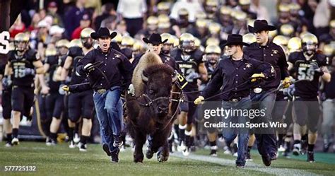 Ralphie Colorado Photos and Premium High Res Pictures - Getty Images