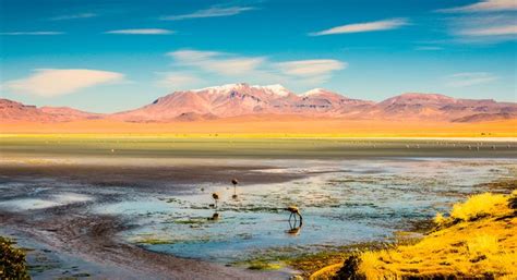 Deserto Do Atacama Guia Definitivo Para Viajantes Independentes