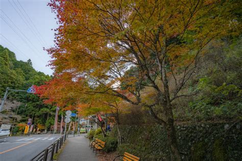 愛知県のおすすめ紅葉スポット！くらがり渓谷の雰囲気を分かりやすく紹介