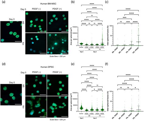 Hydrogel Viscoelasticity Modulates Migration And Fusion Of Mesenchymal