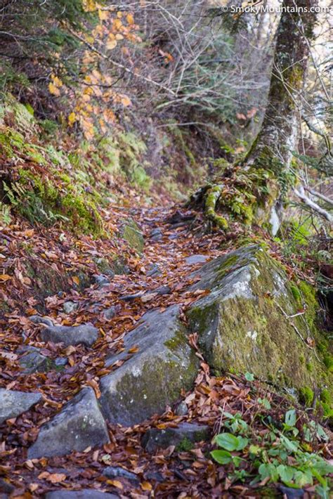 Rainbow Falls Trail To Mount LeConte Rainbow Falls Rainbow Falls