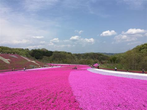 栃木の穴場観光スポットおすすめ22選！実はこんなに素敵なところがあるんです！ Retrip[リトリップ]