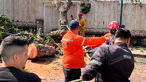 Alcaldía De Caracas Despliega Cuadrillas Para Atender Incidencias Por