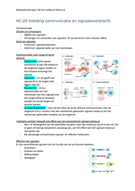 Cel Tot Molecuul Thema 6 HC 20 Inleiding Communicatie En