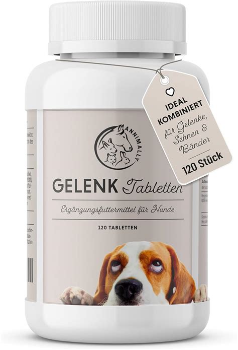 Gelenktabletten F R Hunde Mit Msm Gr Nlippmuschel Teufelskralle