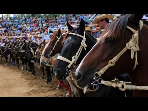 Da Serie Libre Rodeo Provincial Club Talca Asoc Talca Oriente