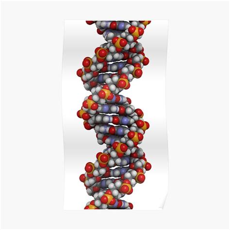 "DNA structure" Poster for Sale by molekuul | Redbubble