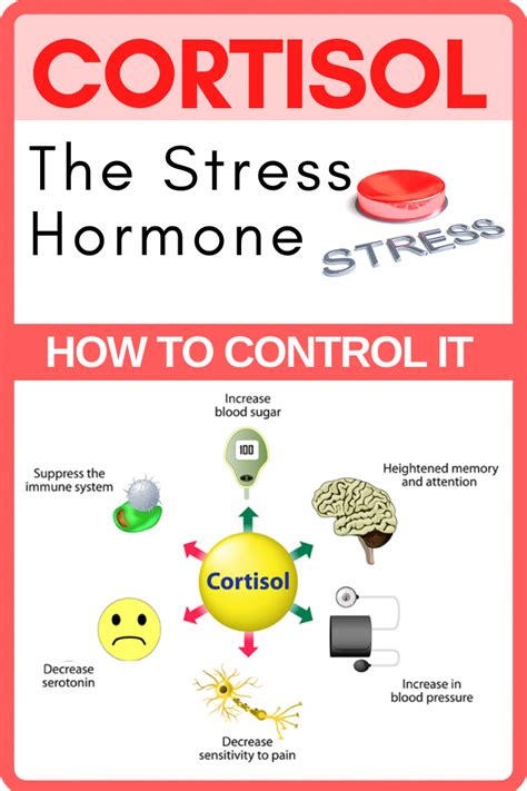 Cortisol The Stress Hormone How To Control It Reduce Stress Relieve