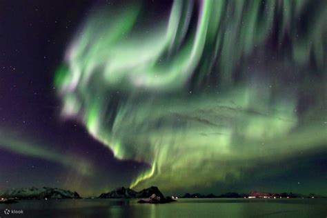 Lofoten Northern Lights Photography Tour | Klook