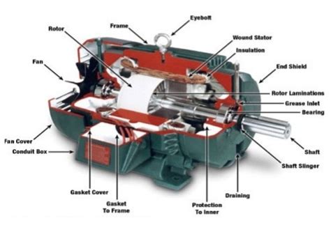 Study About The Dc Machine And Analyse Torque Speed Characteristics Of