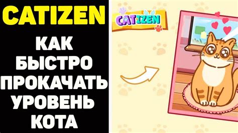 Как получить airdrop от catizen и как очень быстро прокачать кота