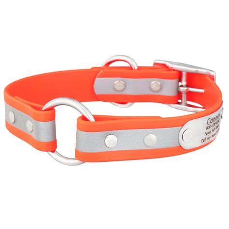 Reflective Waterproof Safety NamePlate Collar | dogIDs