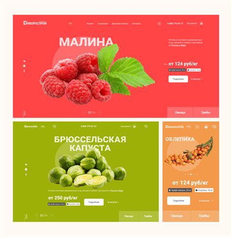 Dikorosprom / WebSIte / B2B on Behance