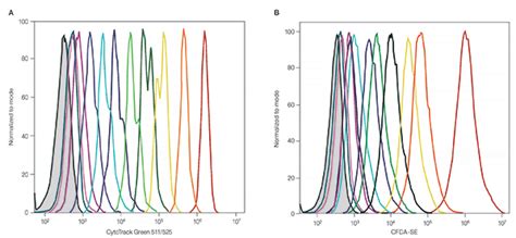 Cell Proliferation Assays Life Science Research Bio Rad