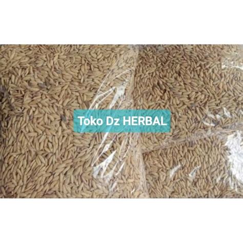 Jual Benih Padi Huma Darat Lokal Super 500 Gram Shopee Indonesia