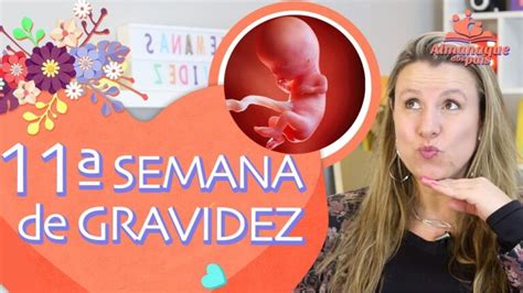 11 Semanas Atras Foi Que Dia - Barriga de 11 Semanas de Gravidez: O Que Esperar | Actualizado abril 2026
