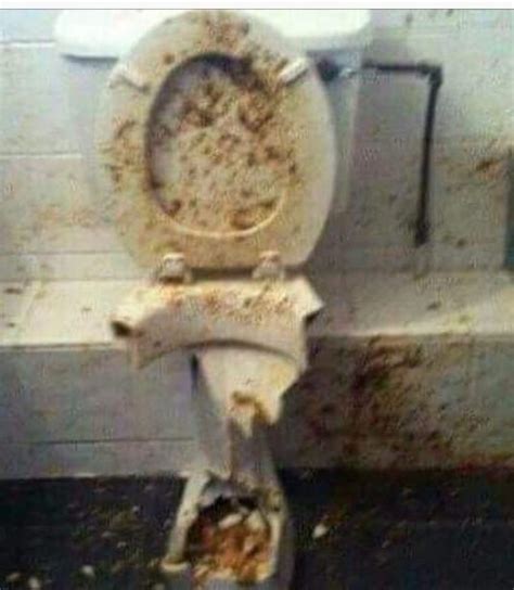 The toilet at Taco Bell : r/memes