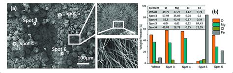 Sem Images A Of The Surface And Edx Analysis B Of A Sample Download Scientific Diagram