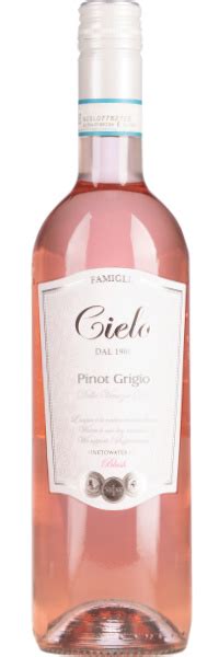 Cielo Pinot Grigio Blush Rose Igt Rose Wijn Faberwineworld Nl