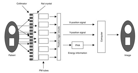 Basic Components Of A Single Photon Imaging Device Anger Camera Used Download Scientific