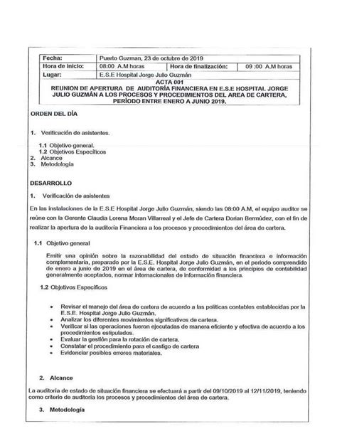 Introducir Imagen Modelo De Acta De Inicio De Auditoria Externa