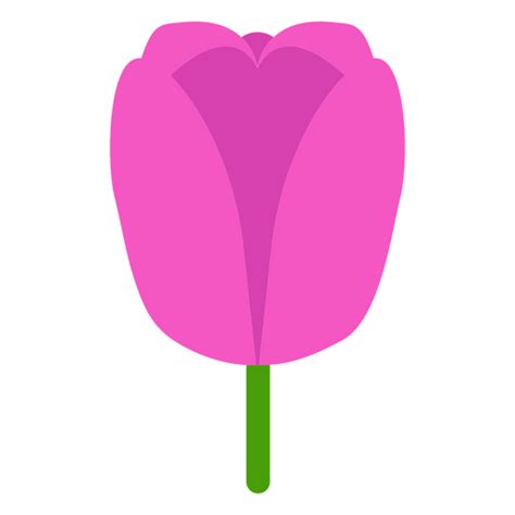 Design Png E Svg De Tulipa ícone Botânico Para Camisetas