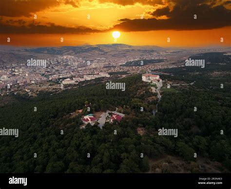 Yozgat Pine Hi Res Stock Photography And Images Alamy