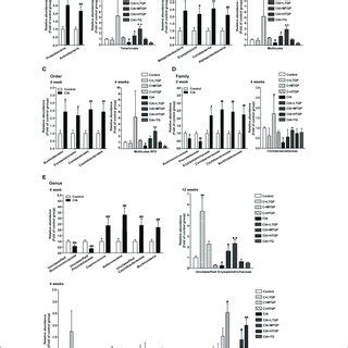 The Temporal Changes Of Gut Microbial Composition At The Phylum