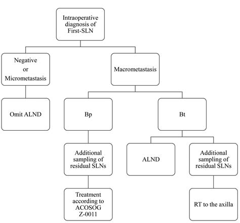 Hookwire Guided Sentinel Lymph Node Biopsy Using Contrast Enhanced