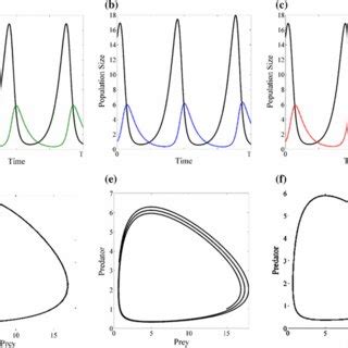 of Lotka–Volterra models: a and d Traditional Lotka–Volterra, b and e ...