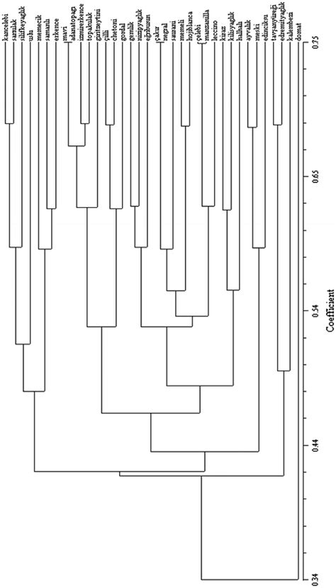 The Upgma Dendrogram Based On Simple Matching Similarity Matrix