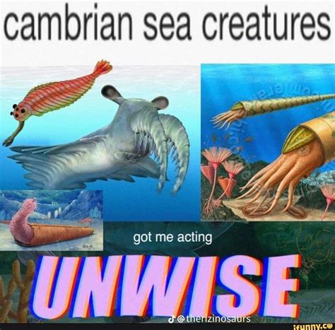 are cambrian sea creatures voles? : r/voles