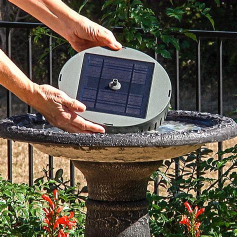 Solar Bird Bath Fountain For Sale | Breck's