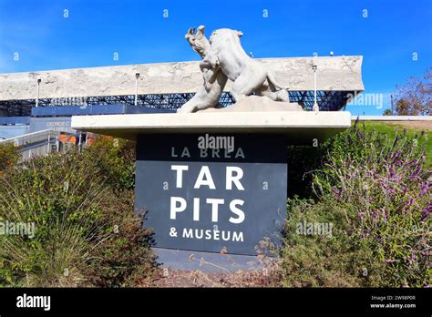 Los Angeles California La Brea Tar Pits And Museum One Of The Worlds Most Famous Fossil