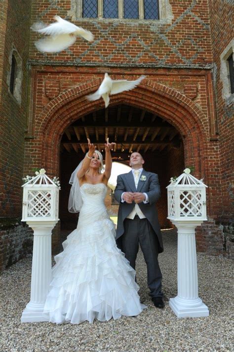 Wedding Dove Release Doves For Weddings East Londondoves For