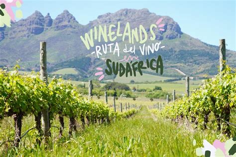 Ruta del vino en Sudáfrica Winelands Mochileando por el Mundo