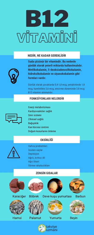 B Vitamini Faydalar Bilimsel Kan Tl Fayda Takviye Uzman