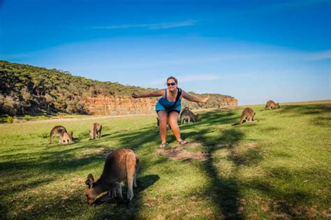 25 Top Things to Do in Australia (On Your First Visit!)