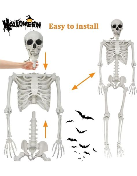 Lukbera 5 4ft 165cm Halloween Skeleton Decorations Full