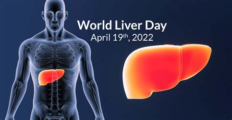 World Liver Day April 19th 2022 Echosens