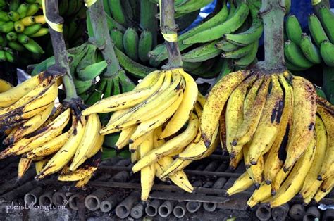 inilah gambar pisang tanduk motif