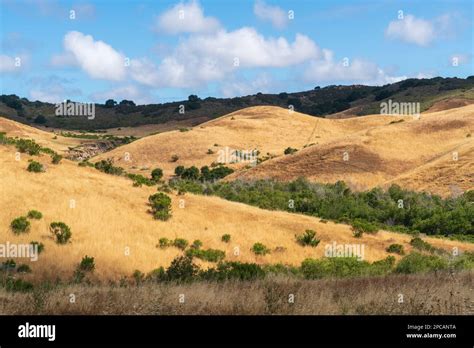 Fort Ord National Monument, California Stock Photo - Alamy