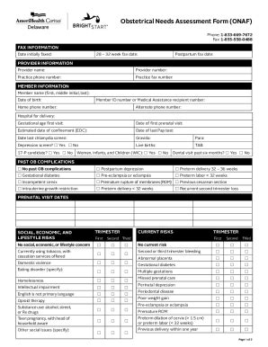 Fillable Online Pdffiller Obstetrical Needsfillable