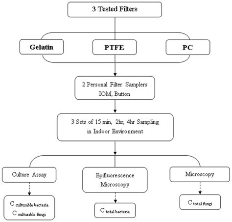 Filtrete Comparison Chart Comparison Fluoride Radiation Effect